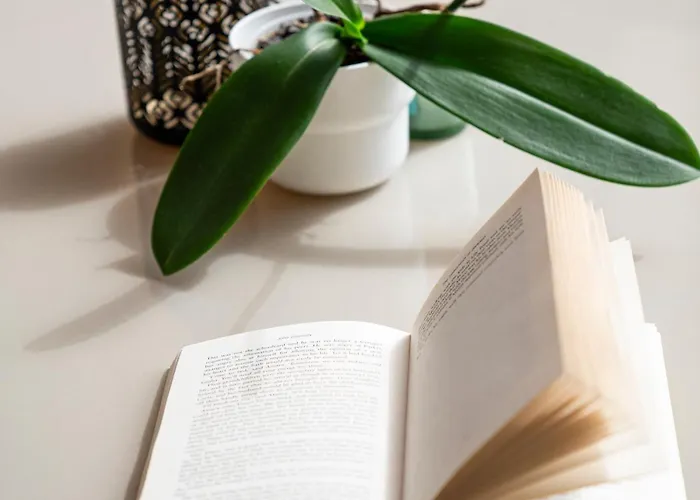 Aa Guest - Rubi Front Sea Views Eco アパート